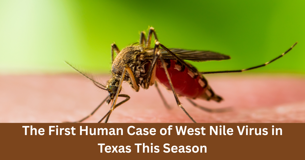 The First Human Case of West Nile Virus in Texas This Season