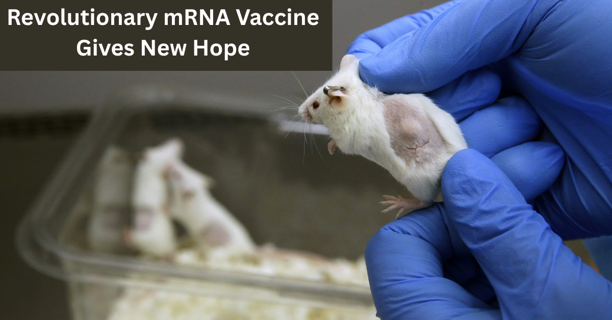 Revolutionary mRNA Vaccine Gives New Hope: Cancer Tumors Completely Eliminated in Mice