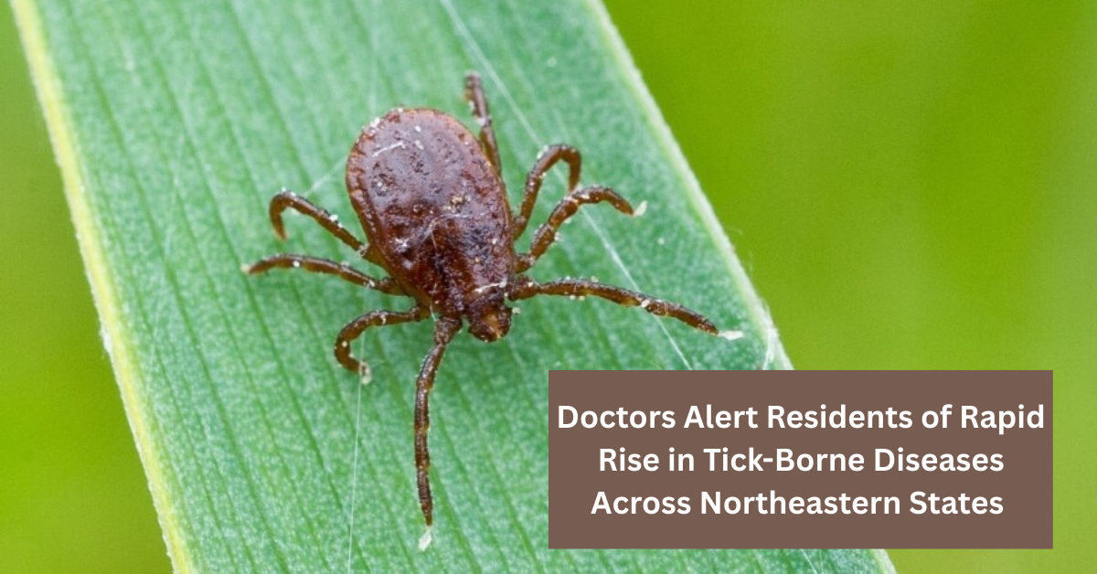 Doctors Alert Residents of Rapid Rise in Tick-Borne Diseases Across Northeastern States This Summer